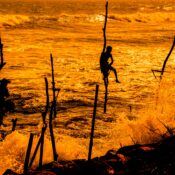 Activities to Experience in Galle